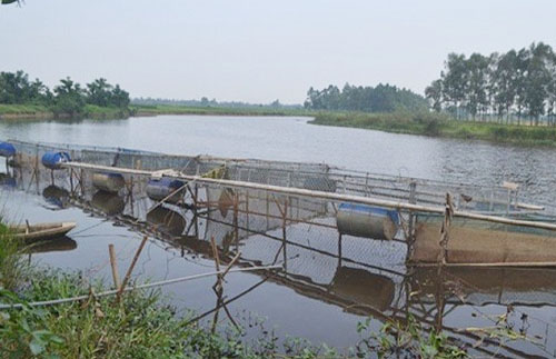 Sông Bùng- nơi phát hiện thi thể người đàn ông mắc vào lưới đánh cá. Ảnh: Báo Giao thông