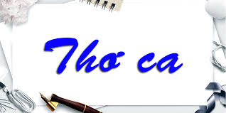 Cảm nghĩ của giáo viên mới