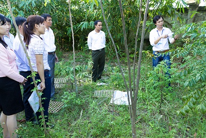 Introduction to the forestry industry program