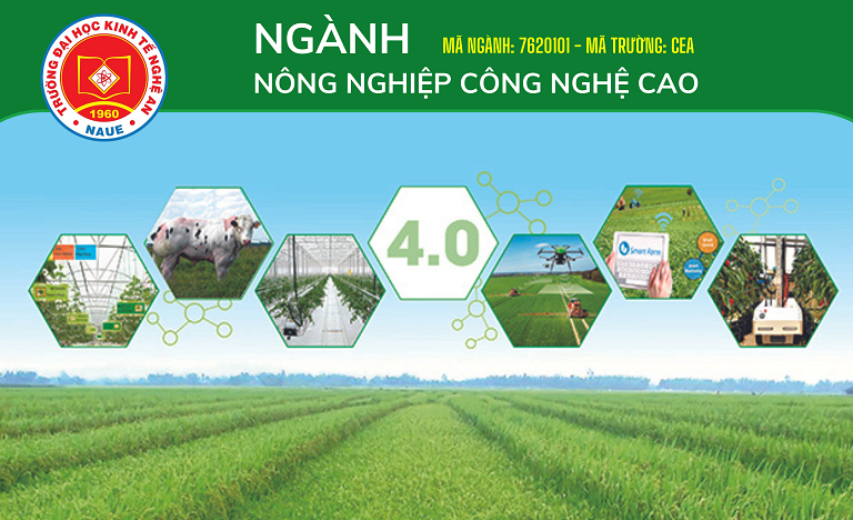 Nông nghiệp công nghệ cao – Không thể thiếu khi định hướng nghề nghiệp