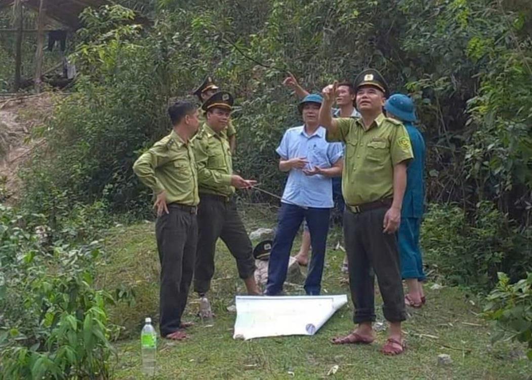 Nghệ An siết chặt quản lý giao và chuyển mục đích sử dụng rừng