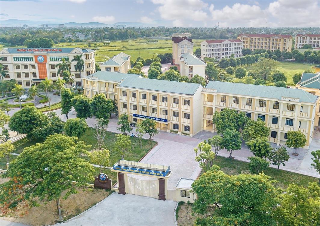 Cơ cấu tổ chức