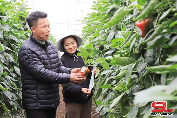 Nông nghiệp thông minh vì thế hệ tương lai