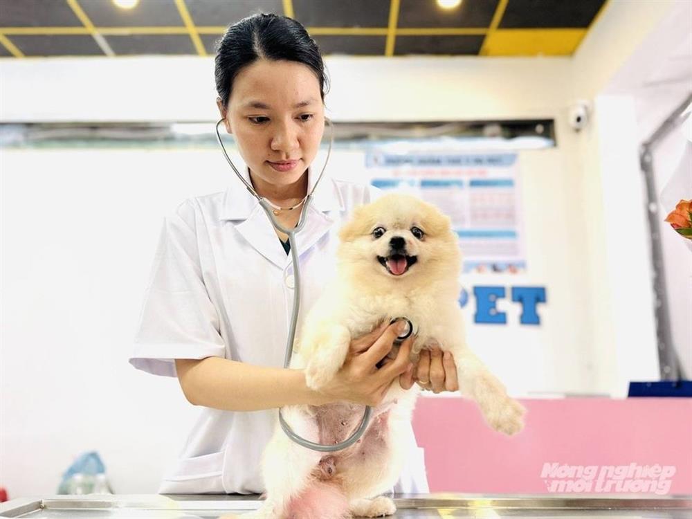 Cơ sở chăm sóc thú cưng, cánh tay nối dài của ngành thú y