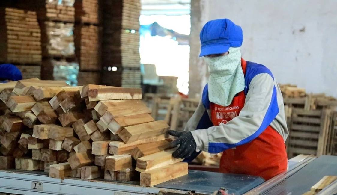 Thời cơ lớn của lâm nghiệp Nghệ An và Bắc Trung Bộ
