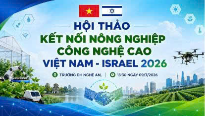 Hội thảo 