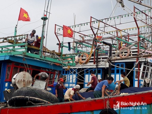 Tính đến chiều ngày 17/7, gần 1.300 phương tiện tàu cá của ngư dân Quỳnh Lưu đã vào bờ an toàn; hiện vẫn còn 1 tàu chưa thể liên lạc được. Ảnh: Việt Hùng