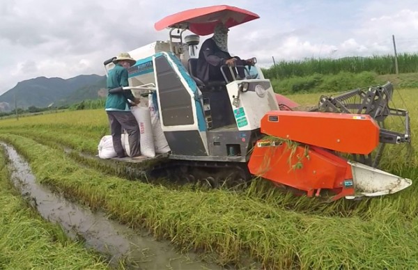 Nghệ An: Kỷ luật 2 cán bộ huyện “ăn chặn” tiền của nông dân