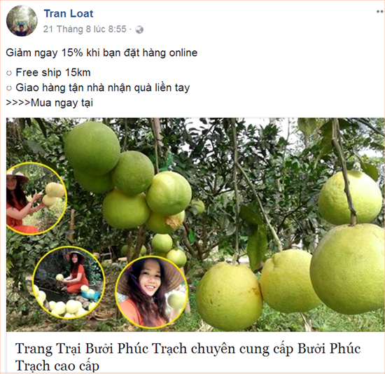 Nông dân Hà Tĩnh lên “phây” tiếp thị bưởi