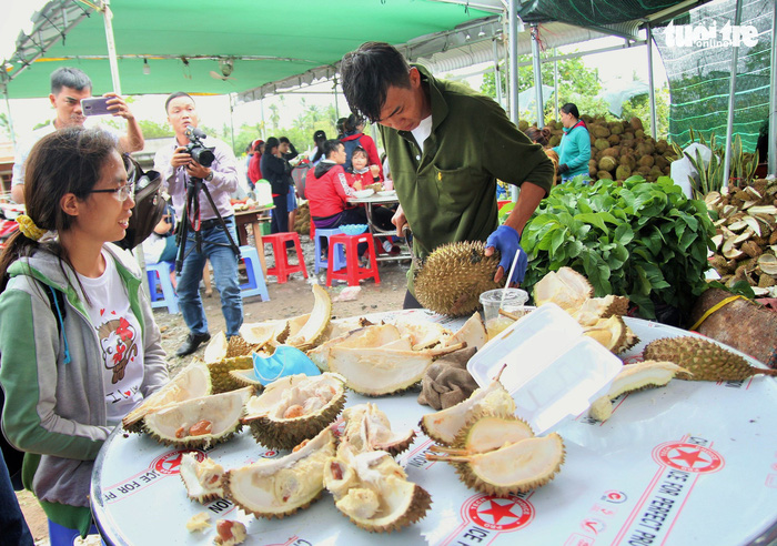 Ùn ùn đi ăn sầu riêng 'siêu rẻ', chỉ 19.000 đồng/kg