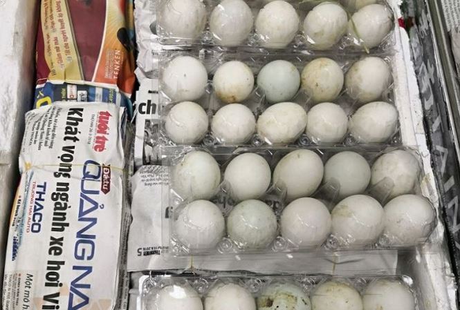 Số trứng vịt lộn của bà Le Thi Ung bị phát hiện tại sân bay Changi
