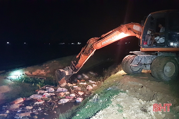 Chính quyền xã Thạch Lạc (Thạch Hà) tiến hành vớt, chôn lấp số lợn chết trôi nổi xen lẫn hàng tấn rác các loại trên kênh N9 ngay trong đêm phát hiện sự việc. Ảnh: Mạnh Hà