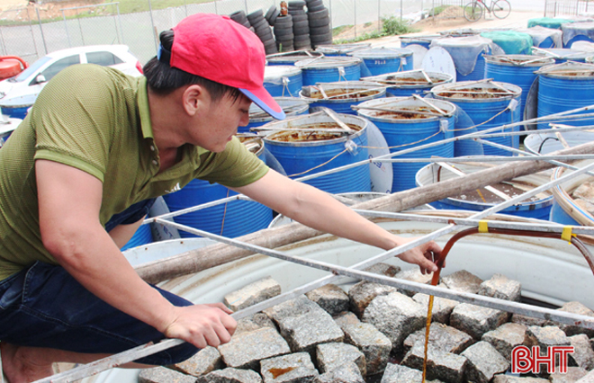 Được hỗ trợ chính sách đầu tư hạ tầng, HTX Dịch vụ chế biến thủy hải sản Ánh Dương (xã Hộ Độ, Lộc Hà) đã xây dựng thành công thương hiệu nước mắm Ánh Hồng đảm bảo các điều kiện để xuất khẩu.