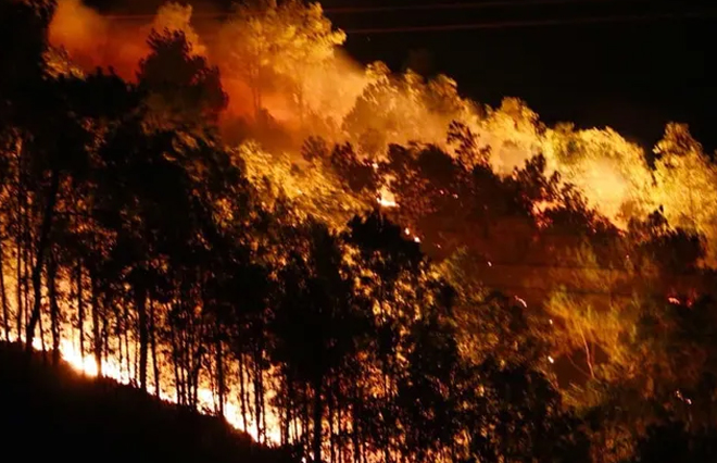 Hà Tĩnh: Rừng lại cháy ngút đỉnh, huy động hàng trăm người dập lửa trong đêm